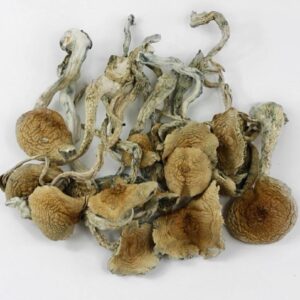 blue meanies mushrooms