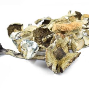 Albino A+ Magic Mushrooms